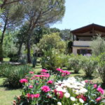 appartment_1_04