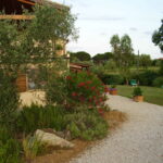 appartment_2_11