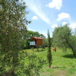 appartment_2_20