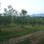 appartment_2_21