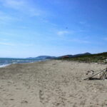 appartment_2_23